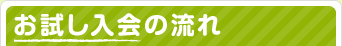 お試し入会の流れ
